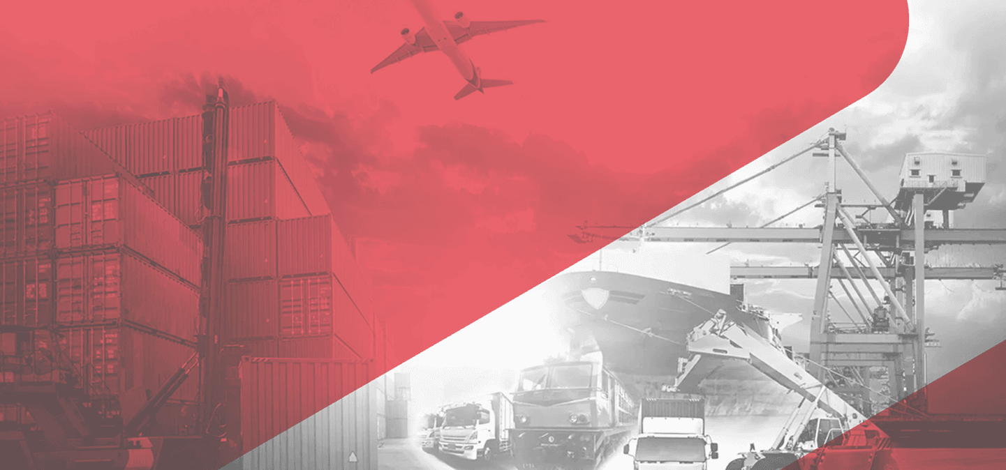 Sectores Especializados